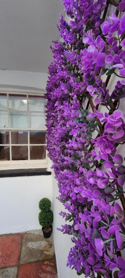 Diamond Harbour - Whole Huge Apartment - Wifi - Beach - Ramsgate Town 外观 照片