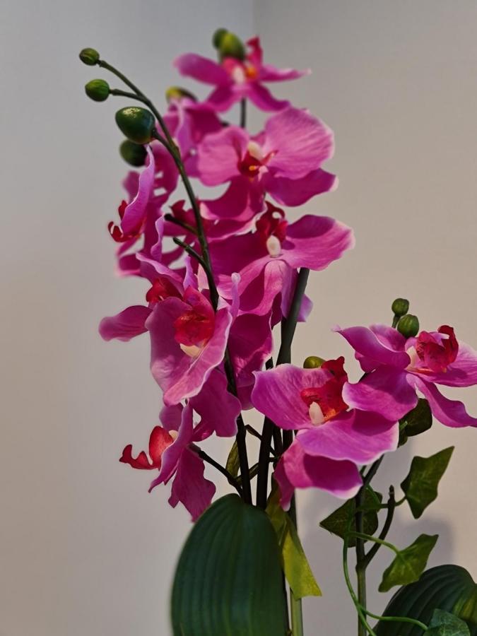 Diamond Harbour - Whole Huge Apartment - Wifi - Beach - Ramsgate Town 外观 照片